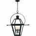 Rue De Royal 4-Light Earth Black Outdoor Hanging Lantern
