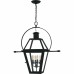 Rue De Royal 4-Light Earth Black Outdoor Hanging Lantern