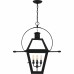 Rue De Royal 4-Light Earth Black Outdoor Hanging Lantern