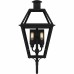 Rue De Royal 2-Light Earth Black Outdoor Wall Lantern