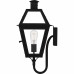 Rue De Royal 1-Light Earth Black Outdoor Wall Lantern