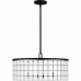 Seigler Pendant