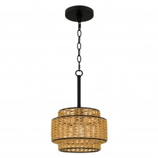 Teton 1-Light Matte Black Mini Pendant Light