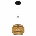 Teton 1-Light Matte Black Mini Pendant Light