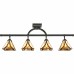 Asheville Track Light