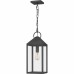 Thorpe Outdoor Mini Pendant