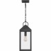 Thorpe Outdoor Mini Pendant