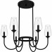Viscount 6-Light Matte Black Chandelier