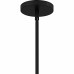 Willa 1-Light Matte Black Pendant