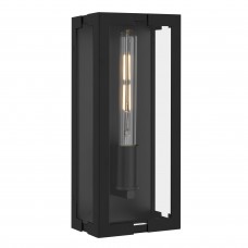Young 1-Light Matte Black Outdoor Wall Lantern