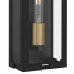 Young 1-Light Matte Black Outdoor Wall Lantern