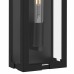 Young 1-Light Matte Black Outdoor Wall Lantern