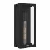 Young 1-Light Matte Black Outdoor Wall Lantern