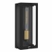 Young 1-Light Matte Black Outdoor Wall Lantern