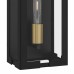 Young 1-Light Matte Black Outdoor Wall Lantern