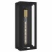 Young 1-Light Matte Black Outdoor Wall Lantern