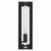 Young 1-Light Matte Black Outdoor Wall Lantern