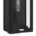 Young 1-Light Matte Black Outdoor Wall Lantern