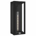 Young 1-Light Matte Black Outdoor Wall Lantern