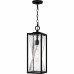 Zarah 1-Light Matte Black Outdoor Hanging Lantern