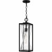 Zarah 1-Light Matte Black Outdoor Hanging Lantern
