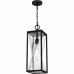 Zarah 1-Light Matte Black Outdoor Hanging Lantern