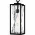 Zarah 1-Light Matte Black Outdoor Hanging Lantern